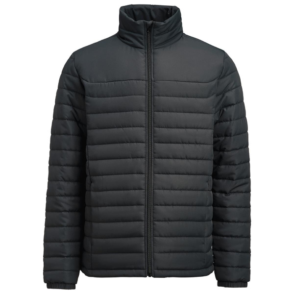 Arches Women's Padded Jacket Thumbnail